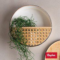 Odoo • une photo avec une légende