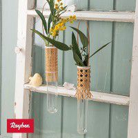 Odoo • une photo avec une légende