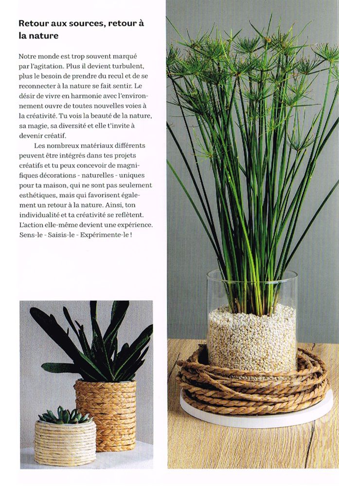 Odoo • Texte et Image