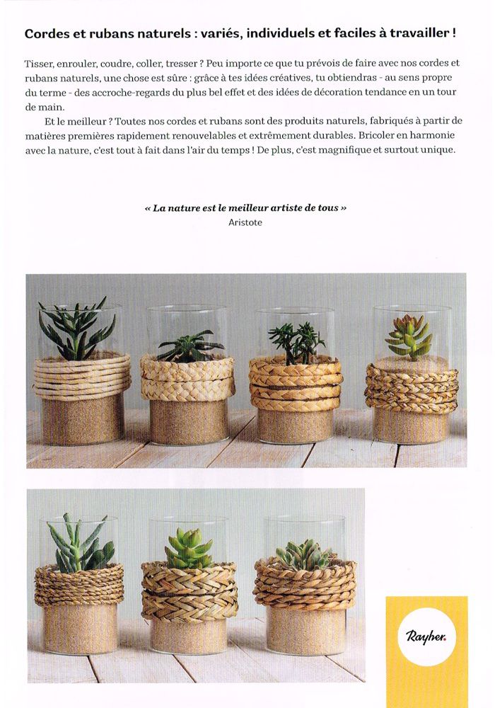 Odoo • Texte et Image