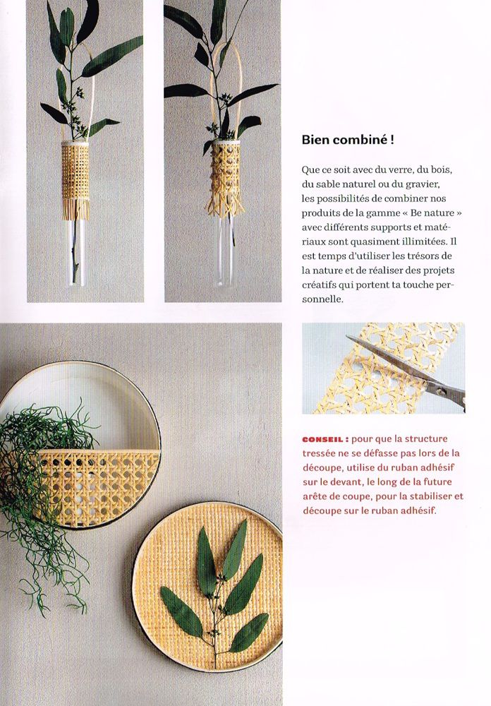 Odoo • Texte et Image