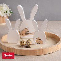 Odoo • une photo avec une légende