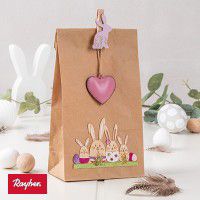 Odoo • une photo avec une légende