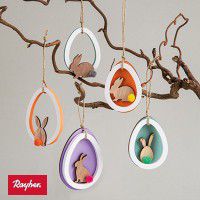 Odoo • une photo avec une légende