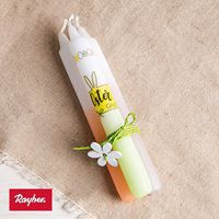 Odoo • une photo avec une légende