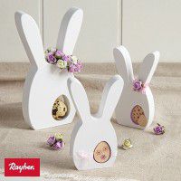 Odoo • une photo avec une légende