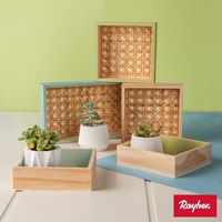 Odoo • une photo avec une légende