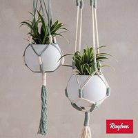 Odoo • une photo avec une légende