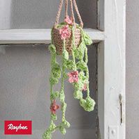 Odoo • une photo avec une légende