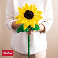 Odoo • une photo avec une légende