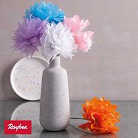 Odoo • une photo avec une légende