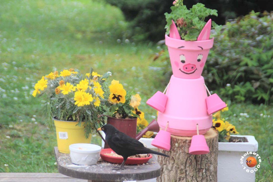 Image de diapositive