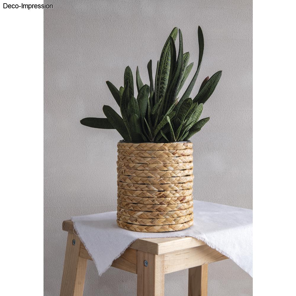 Corde de jacinthes d'eau