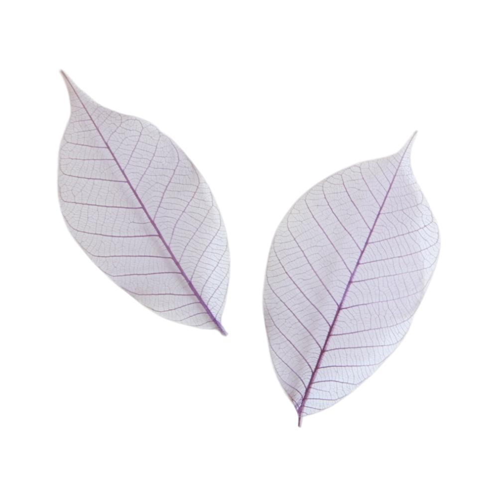 Feuille squelette Pourpre