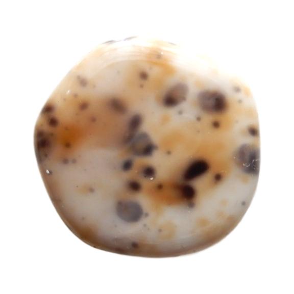 Disque 19 mm Gris granite