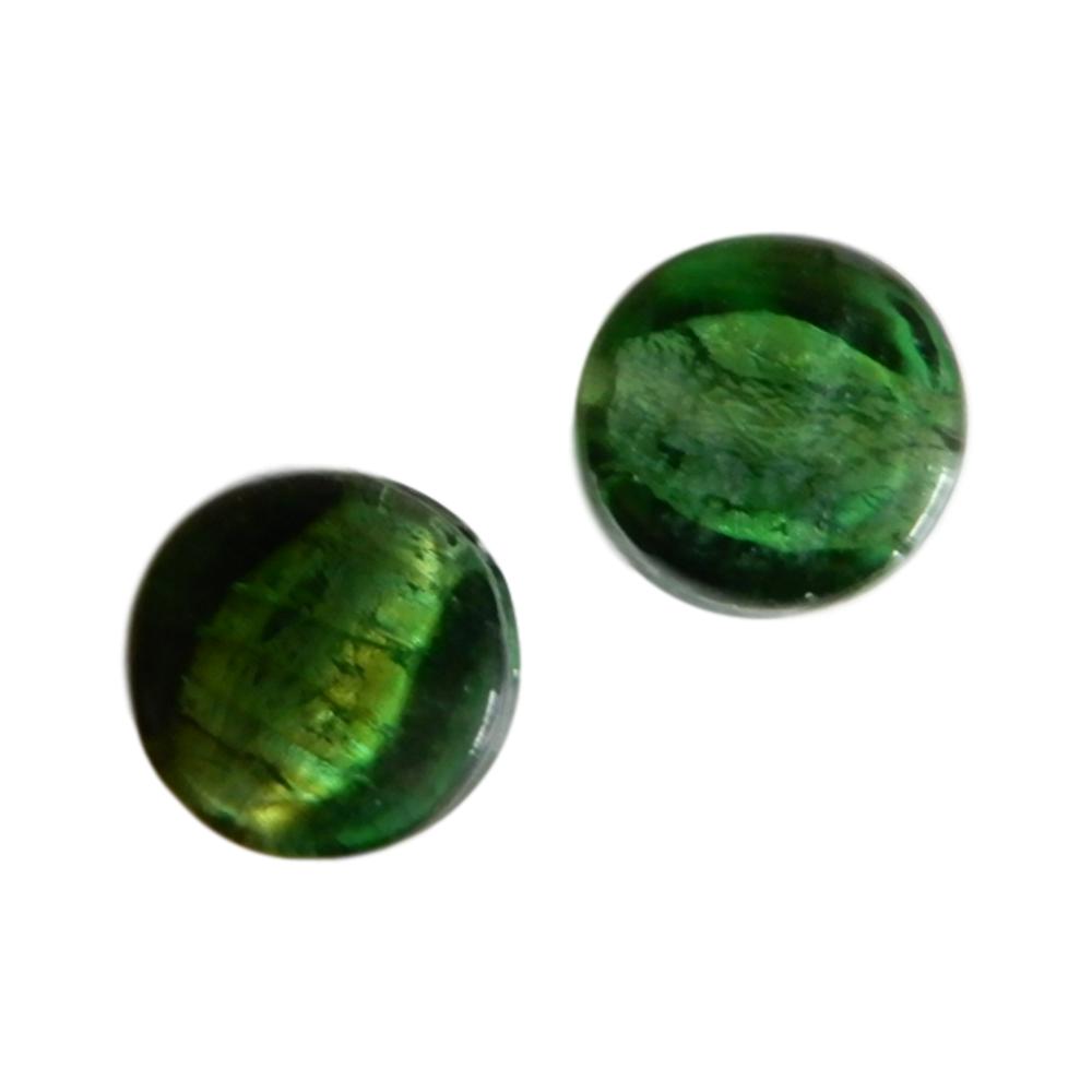 Rond plat 10 mm Vert