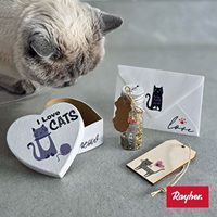 Odoo • une photo avec une légende